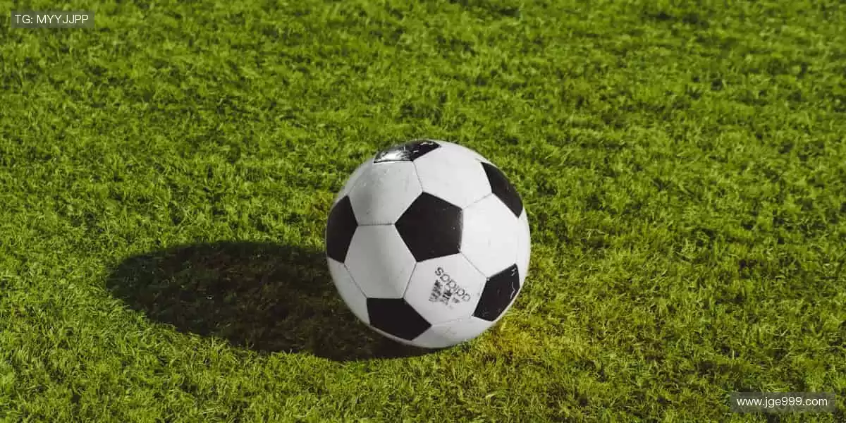 热爱不止，运动不息，尽在这里！❤️🏃♂️